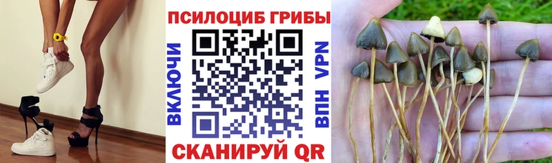 наркота  ОМГ ОМГ маркетплейс  Псилоцибиновые грибы мухоморы  Ярославль 