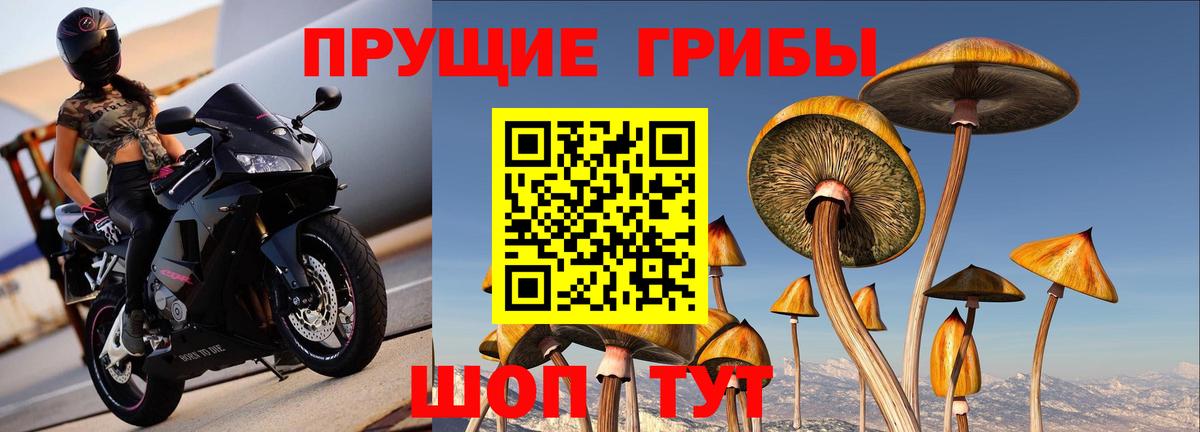 Псилоцибиновые грибы ЛСД  Вход с VPN  Ярославль 
